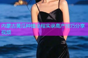 内蒙古黄瓜种植全程实录高产技巧分享视频