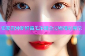 农家自种新鲜黄瓜采摘全过程精彩展示