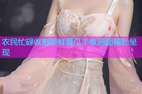 农民忙碌收割新鲜黄瓜丰收画面精彩呈现