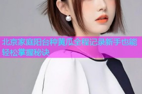 北京家庭阳台种黄瓜全程记录新手也能轻松掌握秘诀