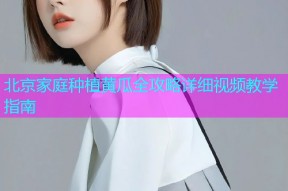 北京家庭种植黄瓜全攻略详细视频教学指南