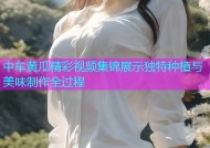 中牟黄瓜精彩视频集锦展示独特种植与美味制作全过程
