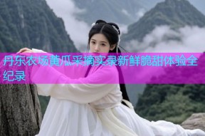 丹东农场黄瓜采摘实录新鲜脆甜体验全纪录