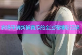 农场采摘新鲜黄瓜的全过程精彩记录