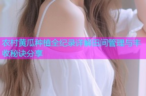 农村黄瓜种植全纪录详解田间管理与丰收秘诀分享