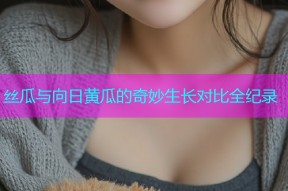 丝瓜与向日黄瓜的奇妙生长对比全纪录