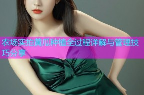 农场实拍黄瓜种植全过程详解与管理技巧分享