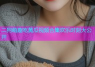 二狗萌趣吃黄瓜视频合集欢乐时刻大公开