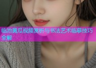 临池黄瓜视频赏析与书法艺术临摹技巧全解