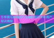 冬季黄瓜种植技巧全解析助你丰收高产秘诀揭秘