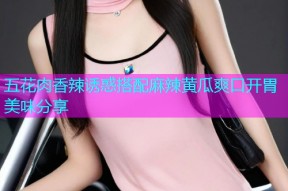 五花肉香辣诱惑搭配麻辣黄瓜爽口开胃美味分享