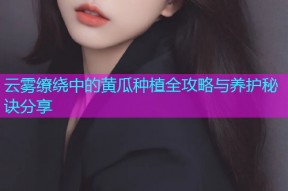云雾缭绕中的黄瓜种植全攻略与养护秘诀分享