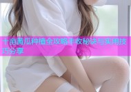 十亩黄瓜种植全攻略丰收秘诀与实用技巧分享