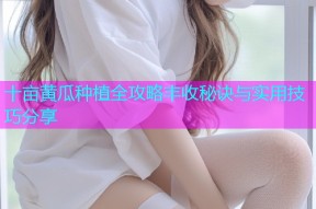 十亩黄瓜种植全攻略丰收秘诀与实用技巧分享