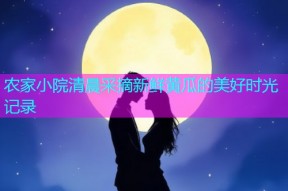 农家小院清晨采摘新鲜黄瓜的美好时光记录