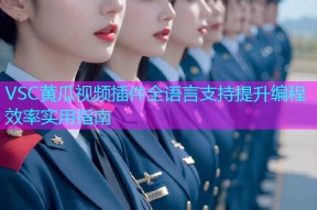 VSC黄瓜视频插件全语言支持提升编程效率实用指南