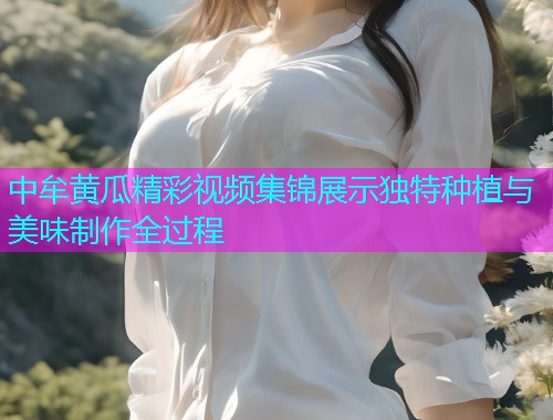 中牟黄瓜精彩视频集锦展示独特种植与美味制作全过程  第1张