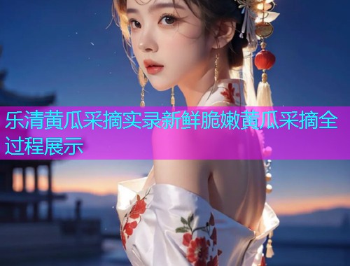 乐清黄瓜采摘实录新鲜脆嫩黄瓜采摘全过程展示  第1张