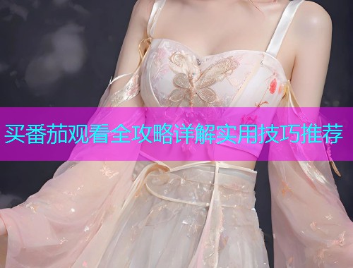 买番茄观看全攻略详解实用技巧推荐  第1张