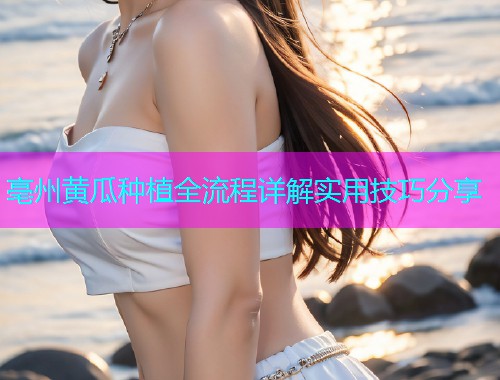 亳州黄瓜种植全流程详解实用技巧分享  第1张
