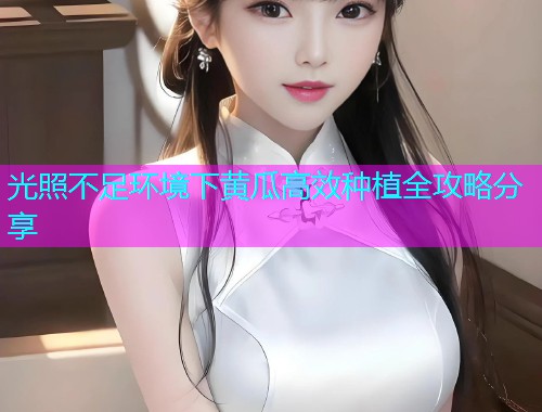 光照不足环境下黄瓜高效种植全攻略分享  第1张