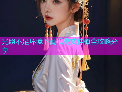 光照不足环境下黄瓜高效种植全攻略分享  第2张