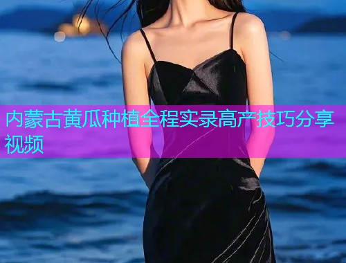 内蒙古黄瓜种植全程实录高产技巧分享视频  第1张