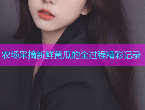 农场采摘新鲜黄瓜的全过程精彩记录  第2张
