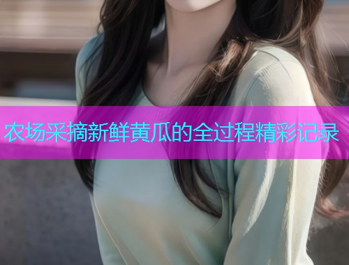 农场采摘新鲜黄瓜的全过程精彩记录  第1张