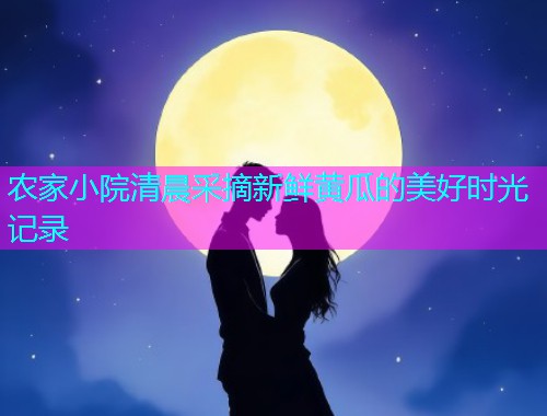 农家小院清晨采摘新鲜黄瓜的美好时光记录  第1张
