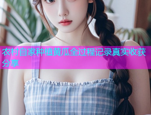 农村自家种植黄瓜全过程记录真实收获分享  第1张
