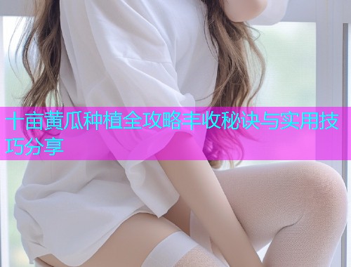 十亩黄瓜种植全攻略丰收秘诀与实用技巧分享  第1张