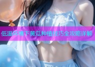低温环境下黄瓜种植技巧全攻略详解