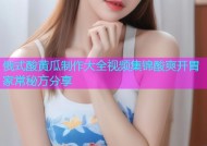 俄式酸黄瓜制作大全视频集锦酸爽开胃家常秘方分享
