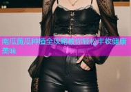 南瓜黄瓜种植全攻略教你轻松丰收健康美味