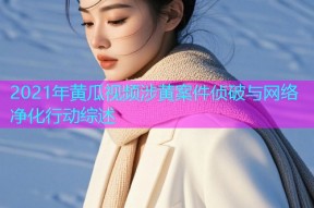 2021年黄瓜视频涉黄案件侦破与网络净化行动综述