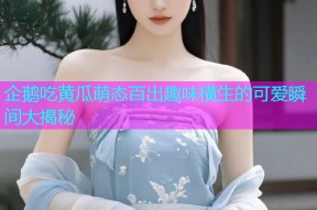 企鹅吃黄瓜萌态百出趣味横生的可爱瞬间大揭秘