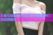 大黄瓜视频精彩内容汇聚分享最新热门短视频精选