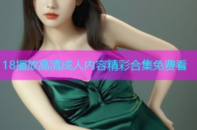 18播放高清成人内容精彩合集免费看