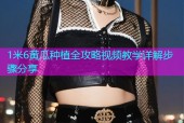 1米6黄瓜种植全攻略视频教学详解步骤分享