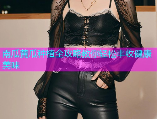 南瓜黄瓜种植全攻略教你轻松丰收健康美味  第1张