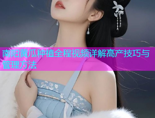 南阳黄瓜种植全程视频详解高产技巧与管理方法  第1张
